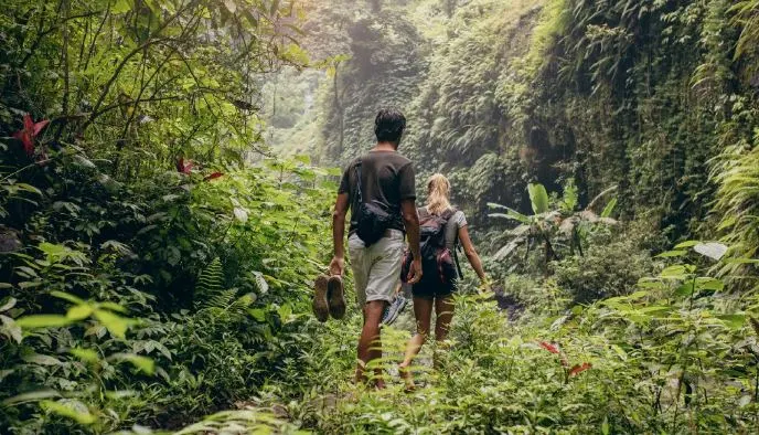 7 Cara Mendapatkan Air Saat Tersesat Di Hutan Ala Travelers Backpack